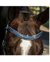 Lumiere Paris Double Bridle