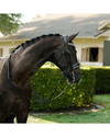 Lumiere Paris Double Bridle