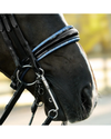 Lumiere Paris Double Bridle