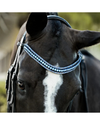 Lumiere Paris Double Bridle