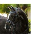 Lumiere Paris Double Bridle