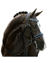 Lumiere Paris Double Bridle