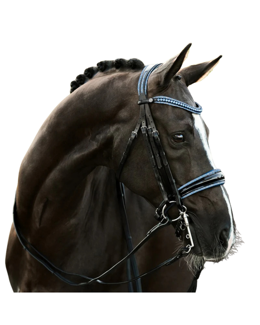 Lumiere Paris Double Bridle