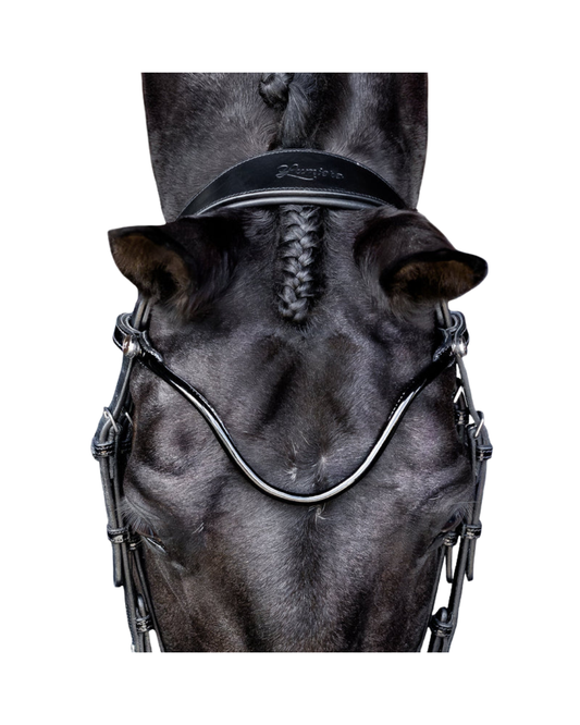 Lumiere Penny Bridle