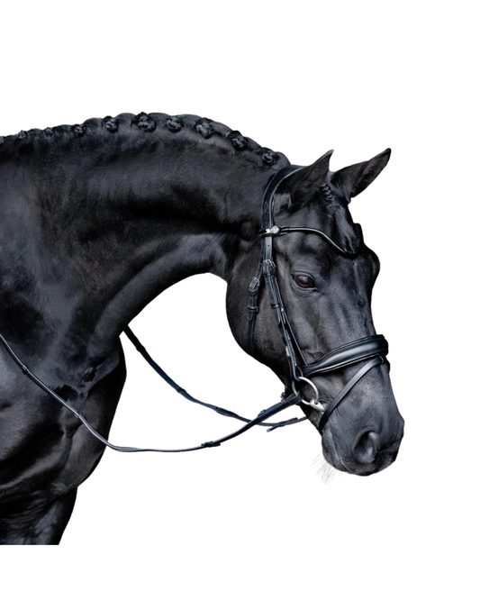 Lumiere Penny Bridle