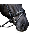 Lumiere Penny Bridle