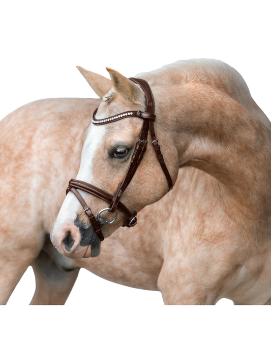 Lumiere Pera Pony Bridle