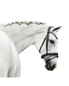 Lumiere Perla Bridle