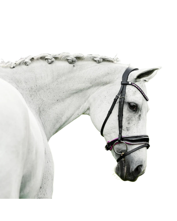 Lumiere Perla Bridle