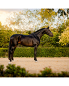 Lumiere Pippa Bridle