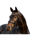 Lumiere Pippa Bridle