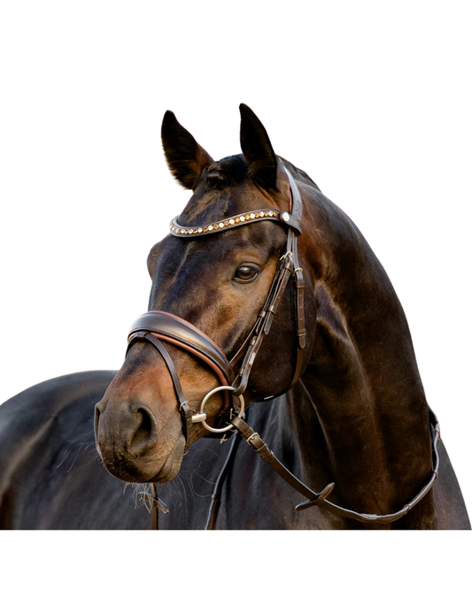 Lumiere Pippa Bridle