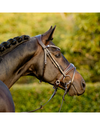 Lumiere Pippa Bridle