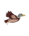qhp suede horse dog toy brown and beige duck with a green head and yellow beak equestrian fashion outfitters