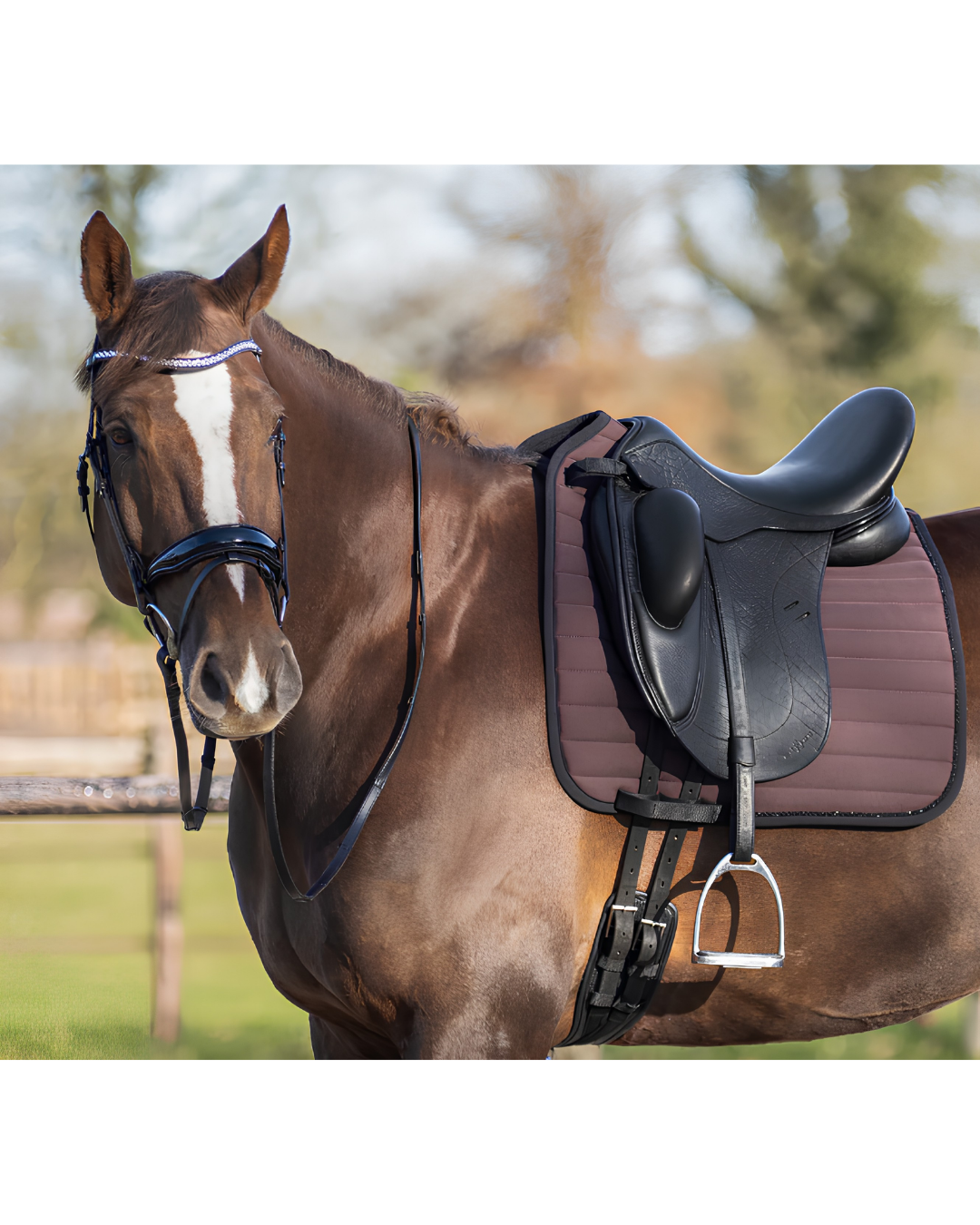 A brown horse outdoors wearing a black leather bridle and a black saddle with a brown quilted saddle pad with black trim. equestrian fashion outfitters