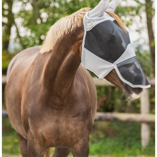 Horse wearing a fly mask with a blurred natural background equestrian fashion outfiters