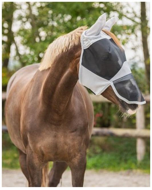 Horse wearing a fly mask with a blurred natural background equestrian fashion outfiters