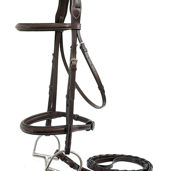 Brown horse bridle on a white background