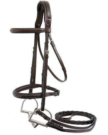 Brown horse bridle on a white background