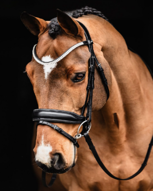 Schockemohle Valencia Bridle