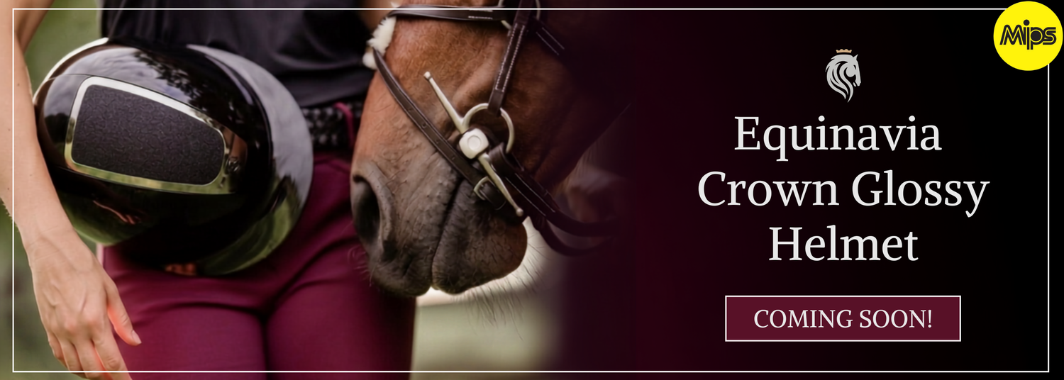 Equestrian Fashion Outfitters