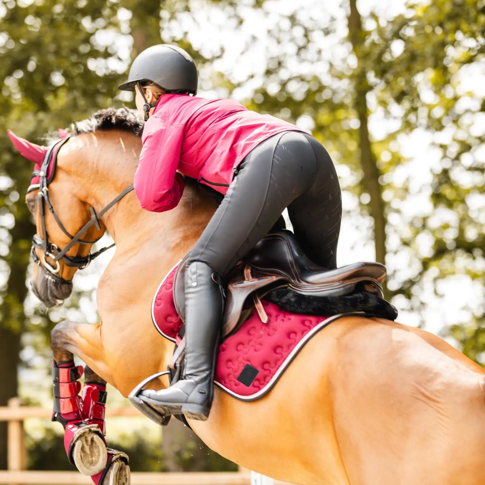 Horze Nora FS Breeches Breeches Horze Equestrian - Equestrian Fashion Outfitters