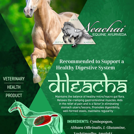 Dileacha Herbal Supplement Neachai - Equestrian Fashion Outfitters