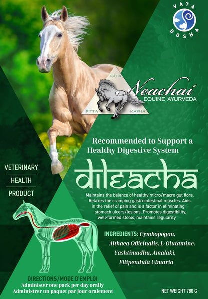 Dileacha Herbal Supplement Neachai - Equestrian Fashion Outfitters