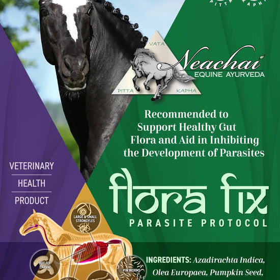 Flora Fix (Parasite Protocol) Herbal Supplement Neachai - Equestrian Fashion Outfitters