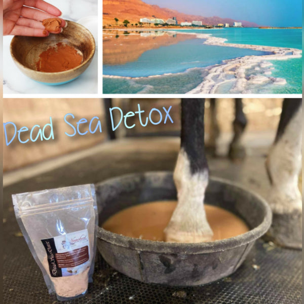 Dead Sea Detox First Aid & Grooming Supplies Neachai - Equestrian Fashion Outfitters