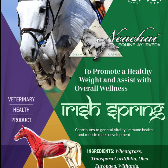 Irish Spring Herbal Supplement Neachai - Equestrian Fashion Outfitters