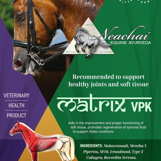 Matrix Reprieve Neachai - Equestrian Fashion Outfitters