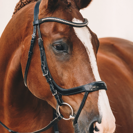 Schockemohle Equitus Omega Bridle Bridle Schockemohle - Equestrian Fashion Outfitters