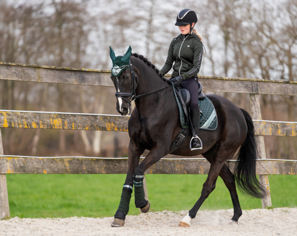 QHP Ninthe Full Seat Breech - Equestrian Fashion Outfitters