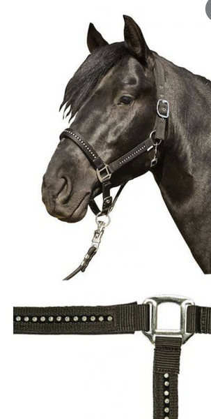 HKM Soft Padded Crystal Halter & Lead - Equestrian Fashion Outfitters