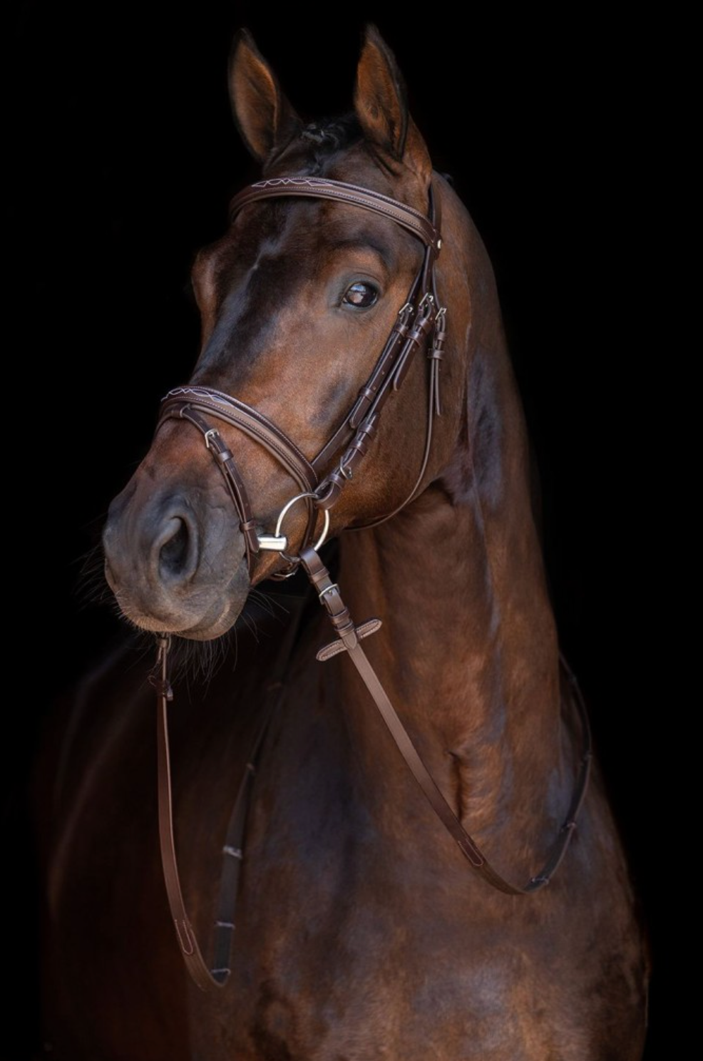 HKM Jana Bridle Bridles HKM - Equestrian Fashion Outfitters