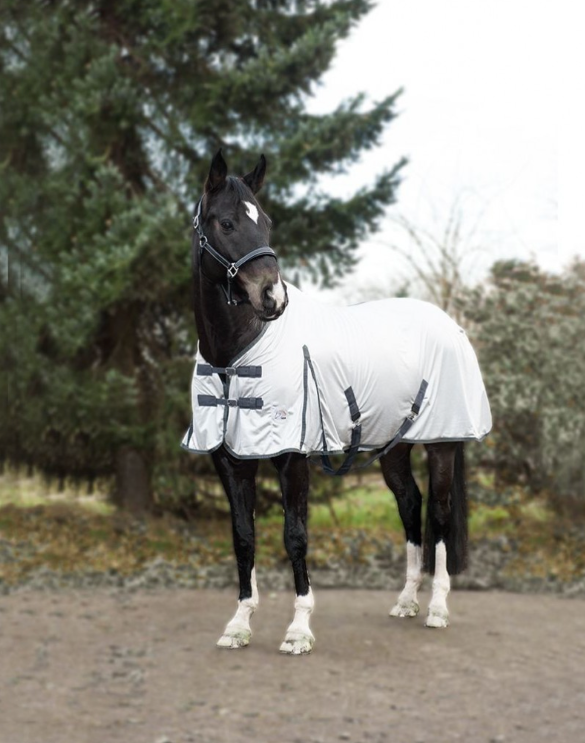 Multi Fly Rug/Cooler Horse Blankets & Sheets HKM - Equestrian Fashion Outfitters
