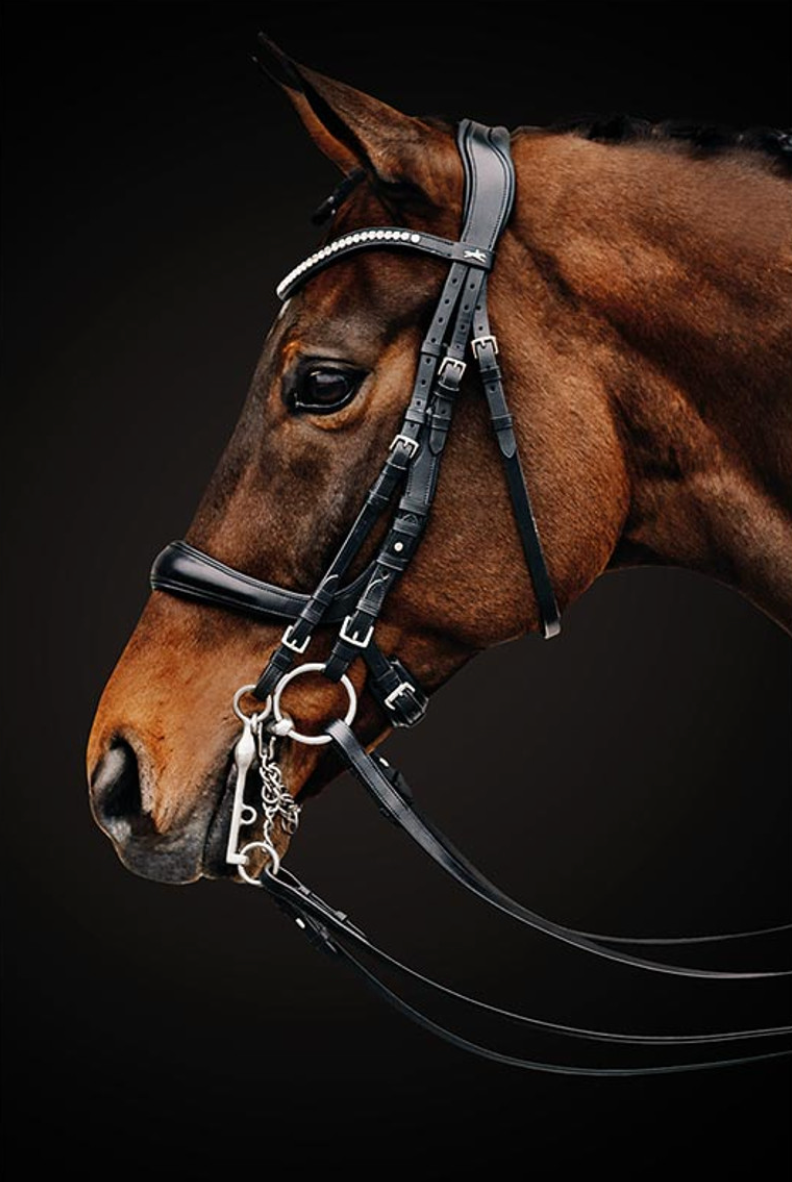 Schockemohle Equitus Gamma Double Bridle Bridles Schockemohle - Equestrian Fashion Outfitters