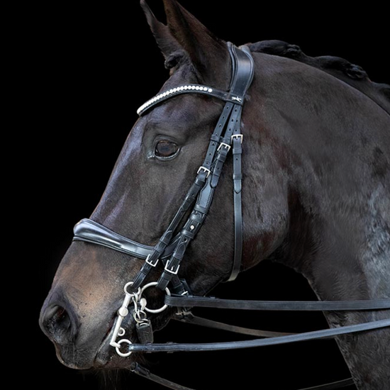 Schockemohle Equitus Gamma Double Bridle Bridles Schockemohle - Equestrian Fashion Outfitters