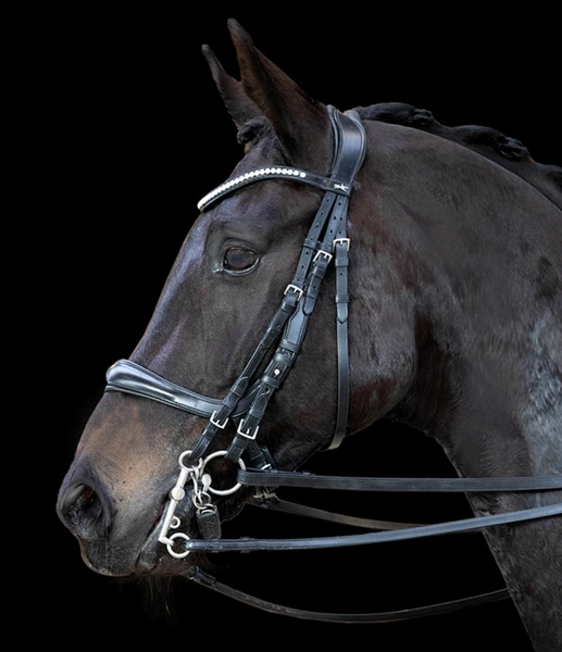 Schockemohle Equitus Gamma Double Bridle - Equestrian Fashion Outfitters