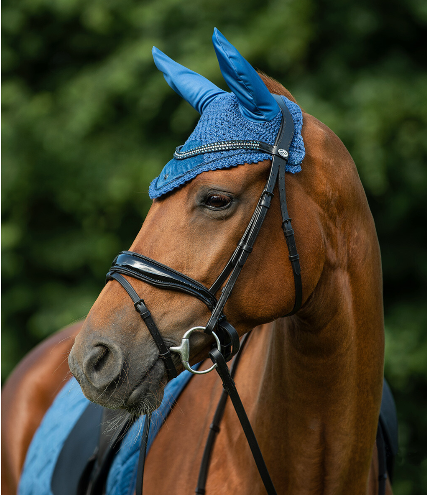 QHP Browband browband QHP - Equestrian Fashion Outfitters