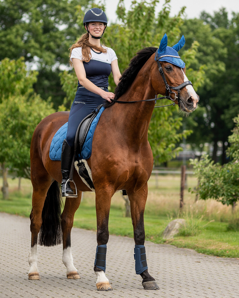 QHP Jady Leg Grip Tights - Equestrian Fashion Outfitters