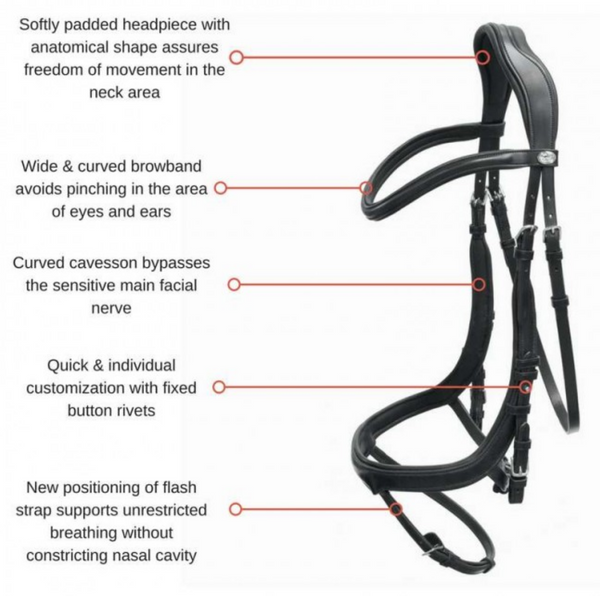 Schockemohle Equitus Alpha Anatomical Bridle Bridle Schockemohle - Equestrian Fashion Outfitters