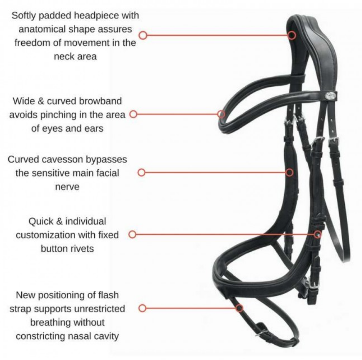 Schockemohle Equitus Beta Dressage Anatomical Bridle Bridle Schockemohle - Equestrian Fashion Outfitters