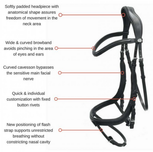 Schockemohle Equitus Beta Dressage Anatomical Bridle - Equestrian Fashion Outfitters