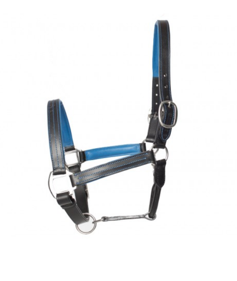 Halters