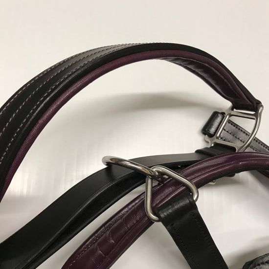 EFO Leather Halter with Colour Accents Halter Equestrian Fashion Outfitters - Equestrian Fashion Outfitters