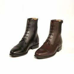 Petrie Professional Paddock Boots Boots Petrie - Equestrian Fashion Outfitters