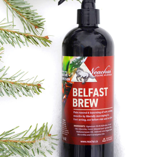 Belfast Brew Liniment First Aid & Grooming Supplies Neachai - Equestrian Fashion Outfitters
