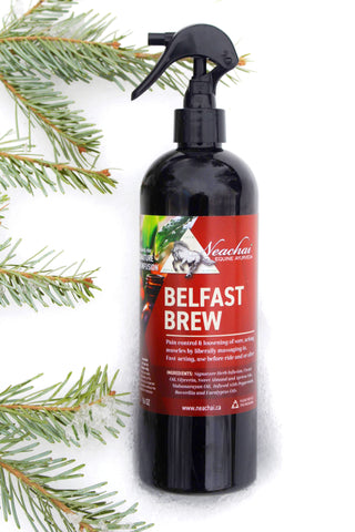 Belfast Brew Liniment - Equestrian Fashion Outfitters